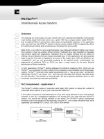 Tài liệu Small Business Access Solution doc