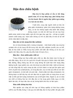 Tài liệu Đậu đen chữa bệnh pdf