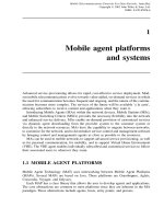 Tài liệu Điện thoại di động giao thức viễn thông cho các mạng dữ liệu P1 ppt