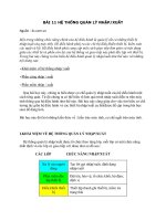 Tài liệu Hệ thống quản lý nhập xuất docx