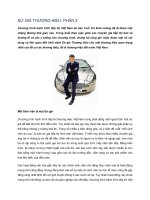 Tài liệu SỨ GIẢ THƯƠNG HIỆU- PHẦN 3 pdf