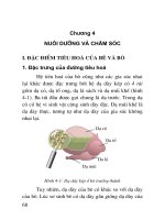 Tài liệu Nuôi bò sữa ở nông hộ - Chương 4 pdf
