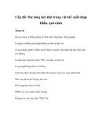 Tài liệu Cấp đổi Thẻ xông hơi khử trùng vật thể xuất nhập khẩu, quá cảnh doc