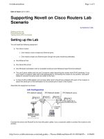 Tài liệu Supporting Novell on Cisco Routers Lab Scenario doc