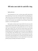 Tài liệu Đổi màu cam sành từ xanh đến vàng ppt