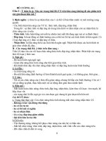 Tài liệu ĐỀ CƯƠNG A4 ppt