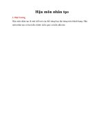 Tài liệu Giáo trình Hậu môn nhân tạo ppt