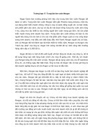 Tài liệu Trung tâm làm vườn Morgan pptx