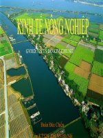 Tài liệu Đề tài nghiên cứu: “Thực trạng và định hướng phát triển Kinh tế Hộ Nông Dân ở Việt Nam” docx