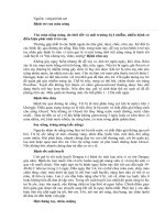 Tài liệu Bệnh trẻ con mùa nóng docx