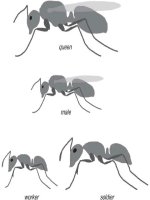 How to live forever and 34 other really interesting uses of science 