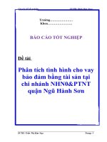 Tài liệu Báo cáo tốt nghiệp: “Phân tích tình hình cho vay bảo đảm bằng tài sản tại chi nhánh NHN0&PTNT quận Ngũ Hành Sơn” pdf