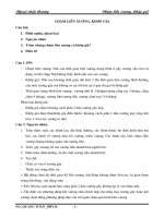 Tài liệu Ngoại chấn thương: Chậm liền xương, khớp giả docx