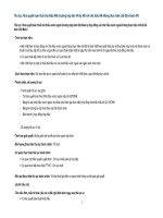 Tài liệu Khai quyết toán thuế nhà thầu NNi (trường hợp bên VN ký HĐ với nhà thầu NN không thực hiện chế độ kế toán VN doc