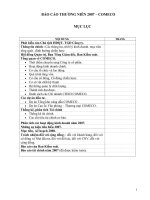 Tài liệu BÁO CÁO THƯỜNG NIÊN 2007 – COMECO doc