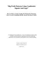 Tài liệu Big Profit Patterns Using Candlestick Signals And Gaps docx