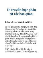 Tài liệu Di truyền học phân tử các bào quan ppt
