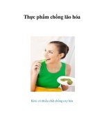 Tài liệu Thực phẩm chống lão hóa pdf