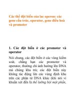Tài liệu Các thể đột biến của lac operon doc