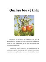 Tài liệu Qủa lựu bảo vệ khớp docx