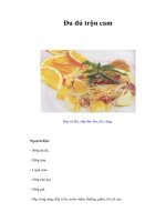 Tài liệu Đu đủ trộn cam docx