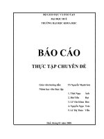 Tài liệu Báo cáo thực tập chuyên đề 