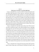 Tài liệu Báo cáo thực tập tốt nghiệp - Công ty xi măng Bím Sơn ppt