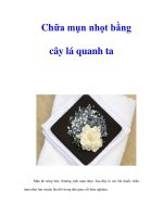 Tài liệu Chữa mụn nhọt bằng cây lá quanh ta ppt