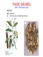 Tài liệu THUỐC GIẢI BIỂU docx