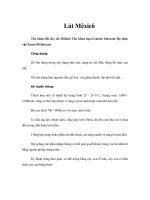 Tài liệu Lát Mêxicô ppt