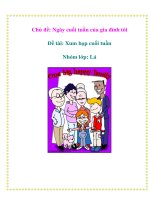 Tài liệu Chủ đề: Ngày cuối tuần của gia đình tôi - Đề tài: Xum họp cuối tuần - Nhóm lớp: Lá doc