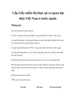 Tài liệu Cấp Giấy miễn thị thực tại cơ quan đại diện Việt Nam ở nước ngoài pptx