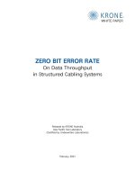 Tài liệu On Data Throughput in Structured Cabling Systems pptx