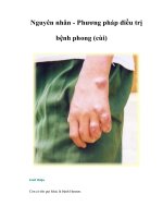 Tài liệu Nguyên nhân - Phương pháp điều trị bệnh phong (cùi) pptx