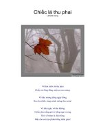 Tài liệu Chiếc lá thu phai doc