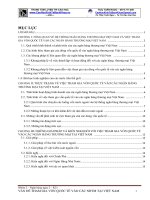 Vấn đề tham gia vốn quốc tế vào các ngân hàng thương mại tại việt nam 