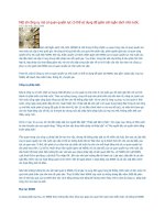 Tài liệu Một số công cụ mà cơ quan quyền lực có thể sử dụng để giám sát ngân sách nhà nước ppt