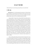 Tài liệu LUẬT NICHE docx