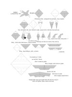 Tài liệu Nghệ thuật xếp hình Nhật Bản:eaglebew pdf