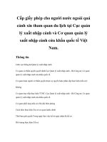 Tài liệu Cấp giấy phép cho người nước ngoài quá cảnh ppt