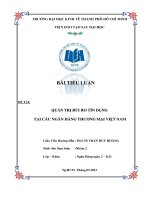 QUẢN TRỊ rủi RO tín DỤNG tại các NGÂN HÀNG THƯƠNG mại VIỆT NAM 