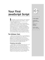 Tài liệu Javascript bible_ Chapter 3 docx