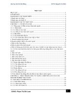 Nâng cao hiệu quả đầu tư trực tiếp của các doanh nghiệp Việt Nam sang Lào