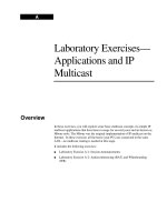Tài liệu Laboratory Exercises— Applications and IP Multicast pdf