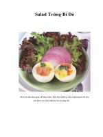 Tài liệu Salad Trứng Bí Đỏ pdf