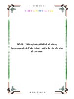 Tài liệu Báo cáo: Khủng hoảng tài chính và khủng hoảng nợ quốc tế. Phân tích rủi ro tiềm ẩn của nền kinh tế Việt Nam pptx