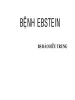 Tài liệu BÀI GIẢNG BỆNH EBSTEIN pdf