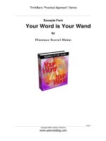 Tài liệu Excerpts From Your Word is Your Wand By Florence Scovel Shinn ppt