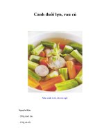 Tài liệu Canh đuôi lợn, rau củ pptx