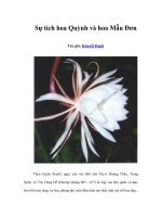 Tài liệu Sự tích hoa Quỳnh và hoa Mẫu Đơn pdf